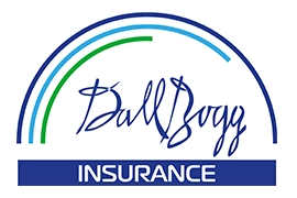DallBogg logo